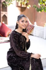 Palachi Chocolate Brown Embroidered Velvet 2 Piece Suit - Image 5